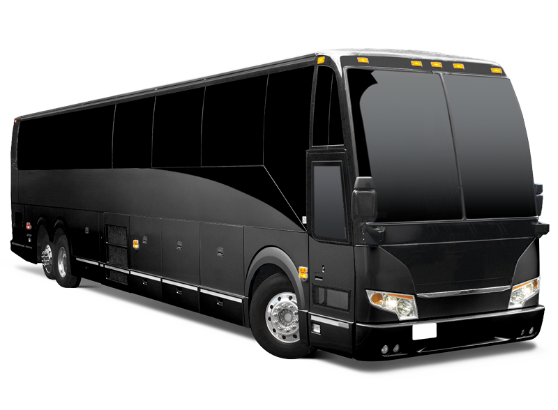 Coach Bus 56pax